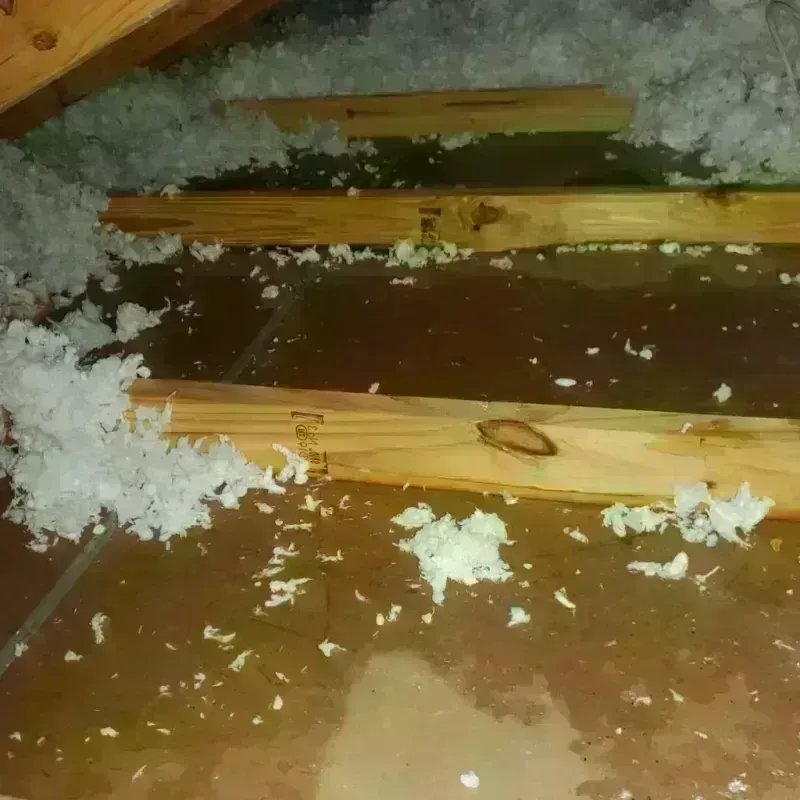 Attic Water Damage in Corcoran, CA